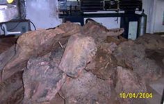 amboyna-pile2web.jpg