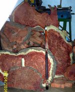 ambyna-burl1web.jpg