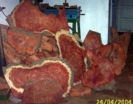 amboyna-burl2web.jpg
