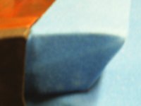 goldcrownpics 008.jpg