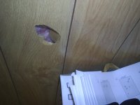 goldcrownpics 011.jpg