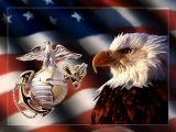 eagle_low160-120.jpg
