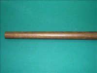 forearm_large.jpg