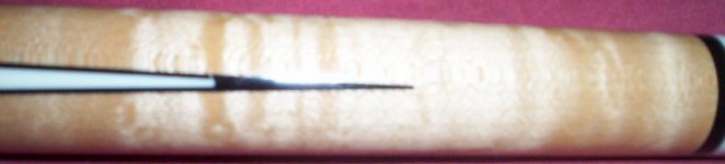 Forearm.jpg