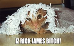 cat rick james.jpg
