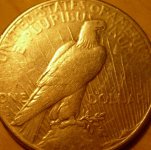 peace dollar 002.jpg