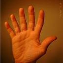 6 fingers.jpg