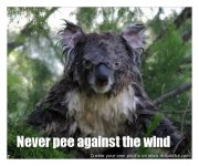 peeing against wind pic1.jpg