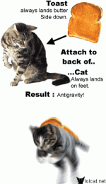 anti-gravity_cat.gif