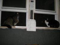 2010 jul kATZ (17).jpg