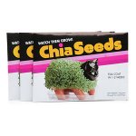 chia-seeds.jpg