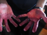 20100530-1531.jpg