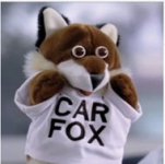 carfox.jpeg