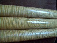 curly brown 2.jpg
