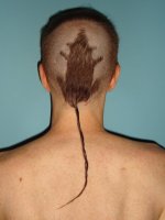 rat_tail.jpg