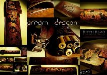 Ritch Remo Custom-made 2x4 Soft Case Dragon.jpg