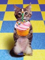 catcupcakebirthday.jpg