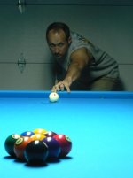 2010 DogsPlayingPool 014-resized.jpg