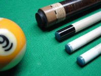 Copy of Ferrules1a.JPG