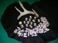 DSCN5408.jpg