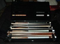 Copy of Cases0210 035.jpg