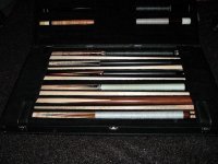 Copy of Cases0210 037.JPG