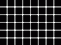 black_dots_illusion.gif