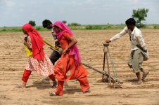 Indian Economic Progress.jpeg