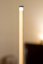 IMG_7011.jpg