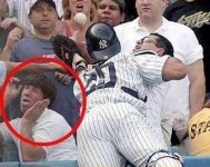 10_wtf_but_funny_pictrues_1.jpg
