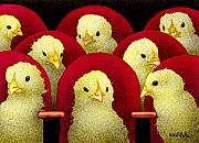 peep-show-will-bullas.jpg