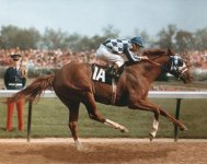 secretariat.jpg