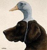 the-reluctant-retriever-will-bullas[1].jpg