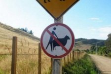 scotland.jpg