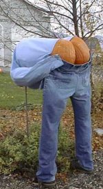 Pumpkinbutt.jpg