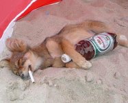 drunkenpuppy.jpg