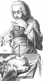 220px-Plate_20_6_20_extract_300px.jpeg