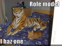cat20.jpg