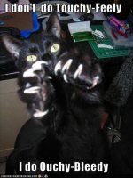 cat17.jpg