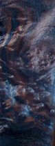 ebbcloseup.jpg