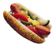 chicago-dog[1].jpg