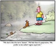 beaver II.jpg