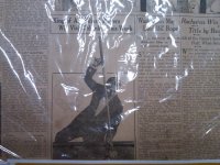 IMG00007-20101108-1423 (5).jpg