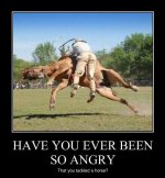 horsetackle.jpg