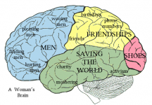 Womansbrain.png