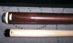 Predator 8 point 4 (Medium).JPG