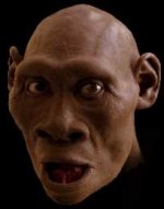 missinglink.jpg