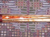 MyMottey1 (Medium).JPG