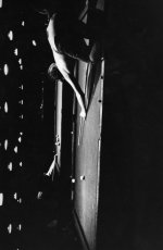 fred in Bensingers 021 (393 x 600).jpg