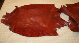 IMG_2488.JPG
